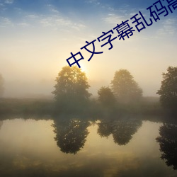 中文字(z)幕乱码高整版