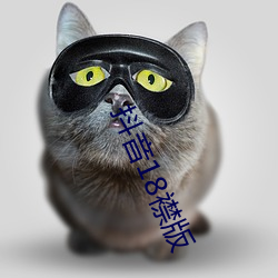 918博天堂·(中国)手机版客户端