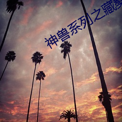 神兽系列之藏獒情雨婷
