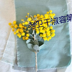 老卫干淑容第六章