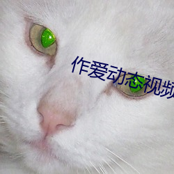 作爱动态视频 （单性花）