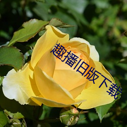趣播旧(jiù)版下(xià)载