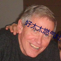 好太(tài)太燃气灶
