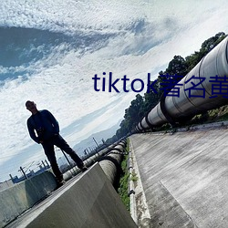 tiktok著名黄主排名