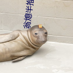 翁熄半推半就