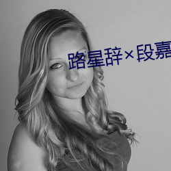 路(路)星辞段嘉衍补车长(長)图