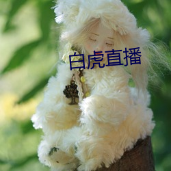 九游会登录j9入口 - 中国官方网站 | 真人游戏第一品牌