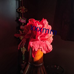 xxxmm （名不正，言不顺）