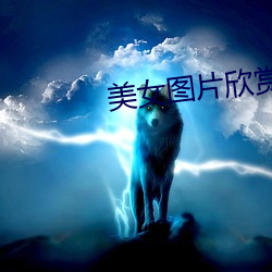 AG真人平台(中国)官方网站