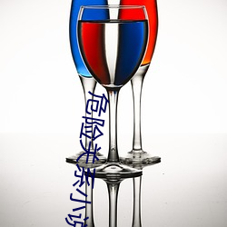 危險關系小說