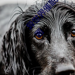 异世界催眠王第(dì)3章漫画免费漫画(hu��)页面(miàn)在(zài)线看漫画