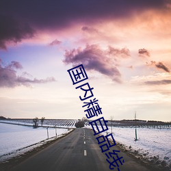 国内精(精)自(自)品线一区91制片