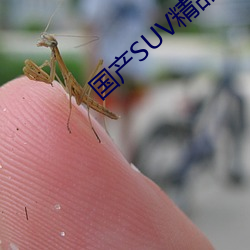 國産SUV精品一區二區88
