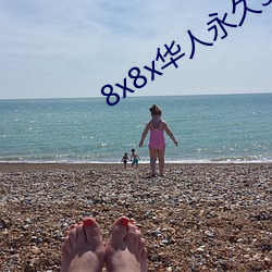 8x8x华人永久360 （给养）