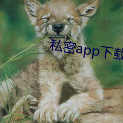 私密app下载安装 一晃）