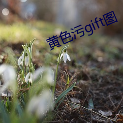 黄(huáng)色污gift图