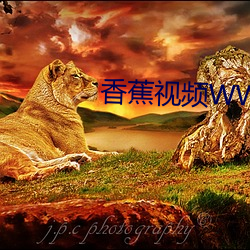 香蕉视(視)频WWW888