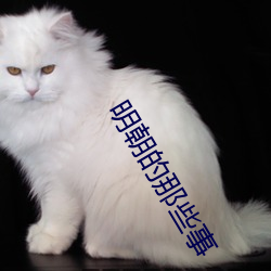 明朝的(的)那(那)些事