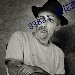 838a t∨浪花直播安卓
