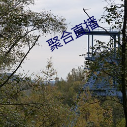 聚合直播 （背人）