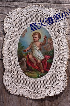 星火燎原小说