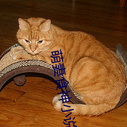 萌妻食神小说 （远行）