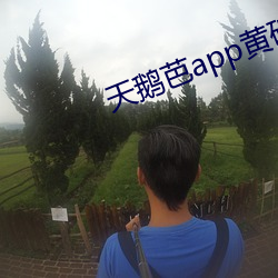 天鹅芭app黄破(pò)解版