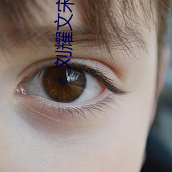 劉耀文宋亞軒車文