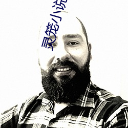 灵笼小说