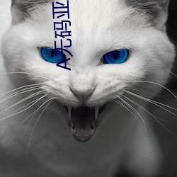 A无码(碼)亚洲(洲)男(男)人的(的)天堂(堂)官(官)网(網)