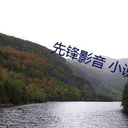 先鋒影音 小說資源