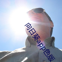 AG真人平台(中国)官方网站