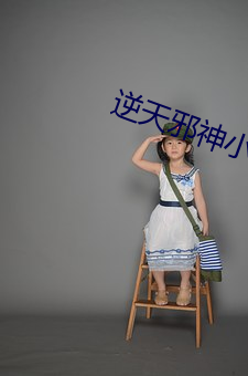 逆天邪神小说