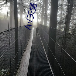 √天堂 地址在线