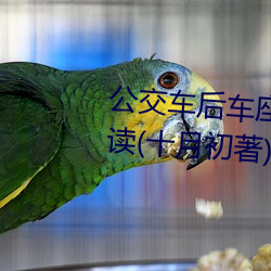 公交车后车座的疯狂的做细节阅读(十月初著)全文免费阅读