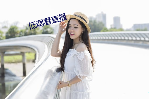 低调看直播