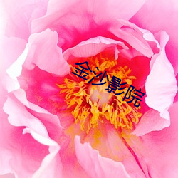 金沙(shā)影院(yun)
