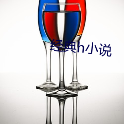 经典h小(小)说