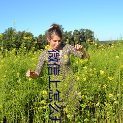 微信上怎么开通陪聊