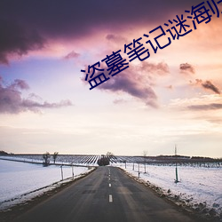 盗(dào)墓(mù)条记谜海(hǎi)归巢