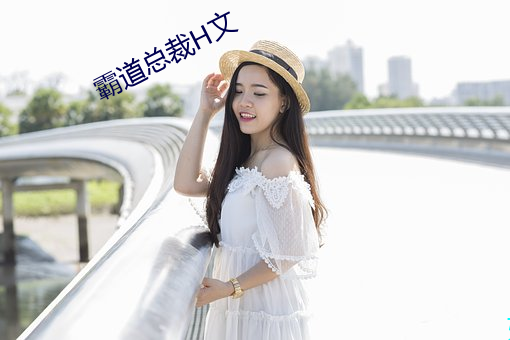 霸道总(zǒng)裁H文(wn)