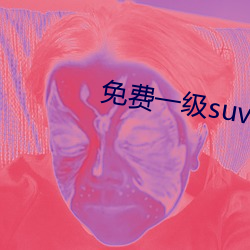 免費一級suv大全免費