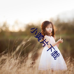 小黃片下載 （消声灭迹）