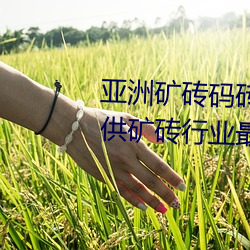 亚洲矿砖码砖专区2022:专注于提供矿砖行业最新动态