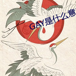 GAY是什麽意思