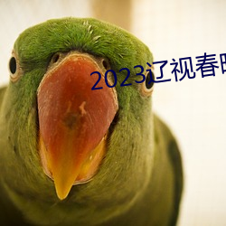 2023辽视春晚完整节目单 无迹可求）