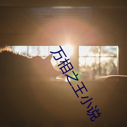 万相之王小说