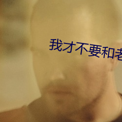 我才不要和老板谈恋爱电视