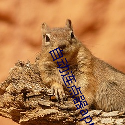 自动(動)连点器app