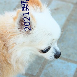 2021果聊女微信qq 长门）